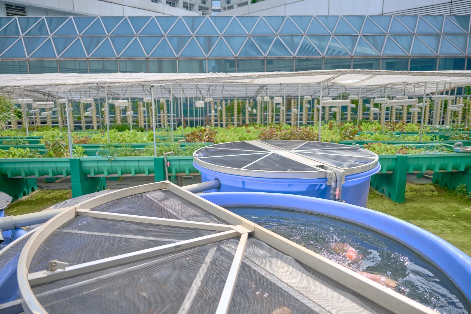 Fairmont Singapore — wellness