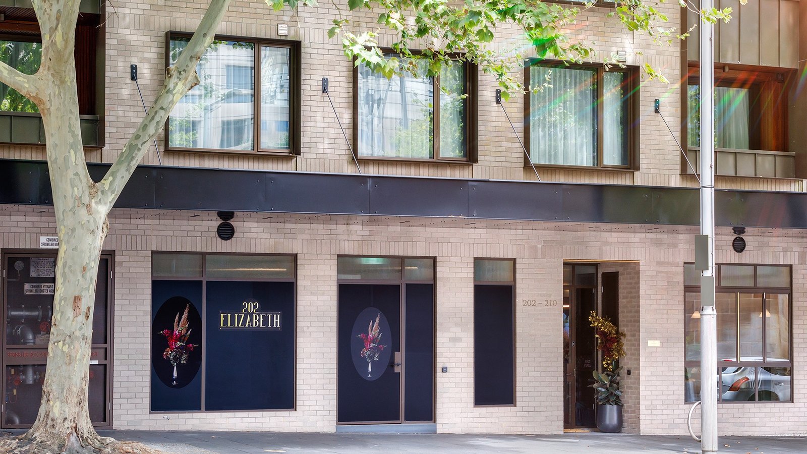 202 Elizabeth — backstory