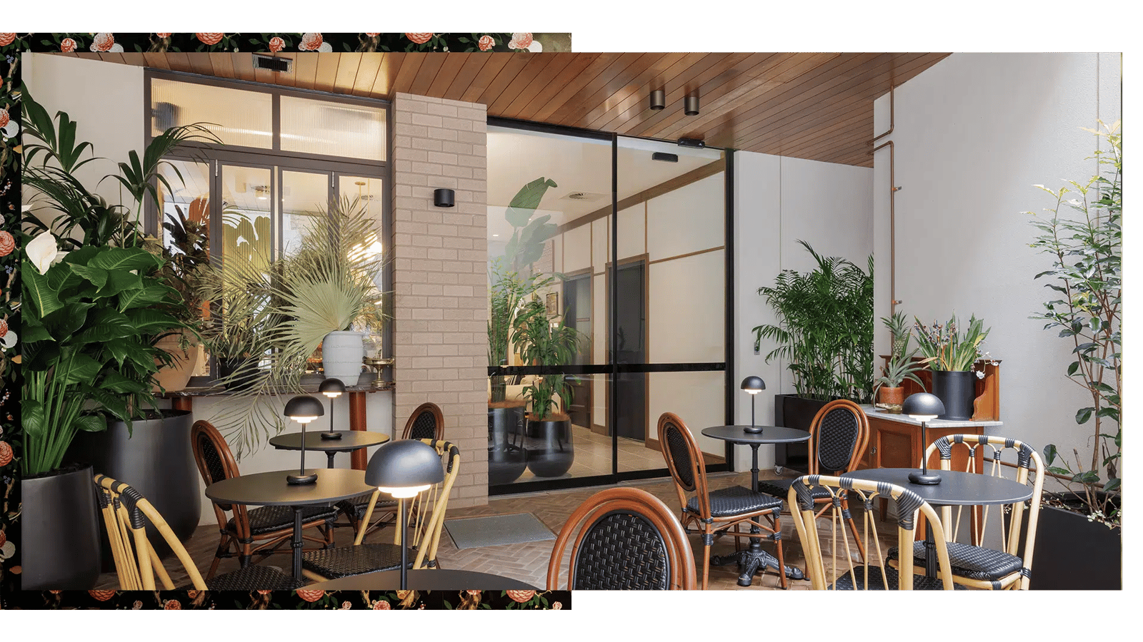 202 Elizabeth — vibe