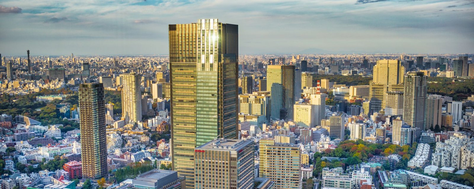 The Ritz-Carlton, Tokyo — backstory