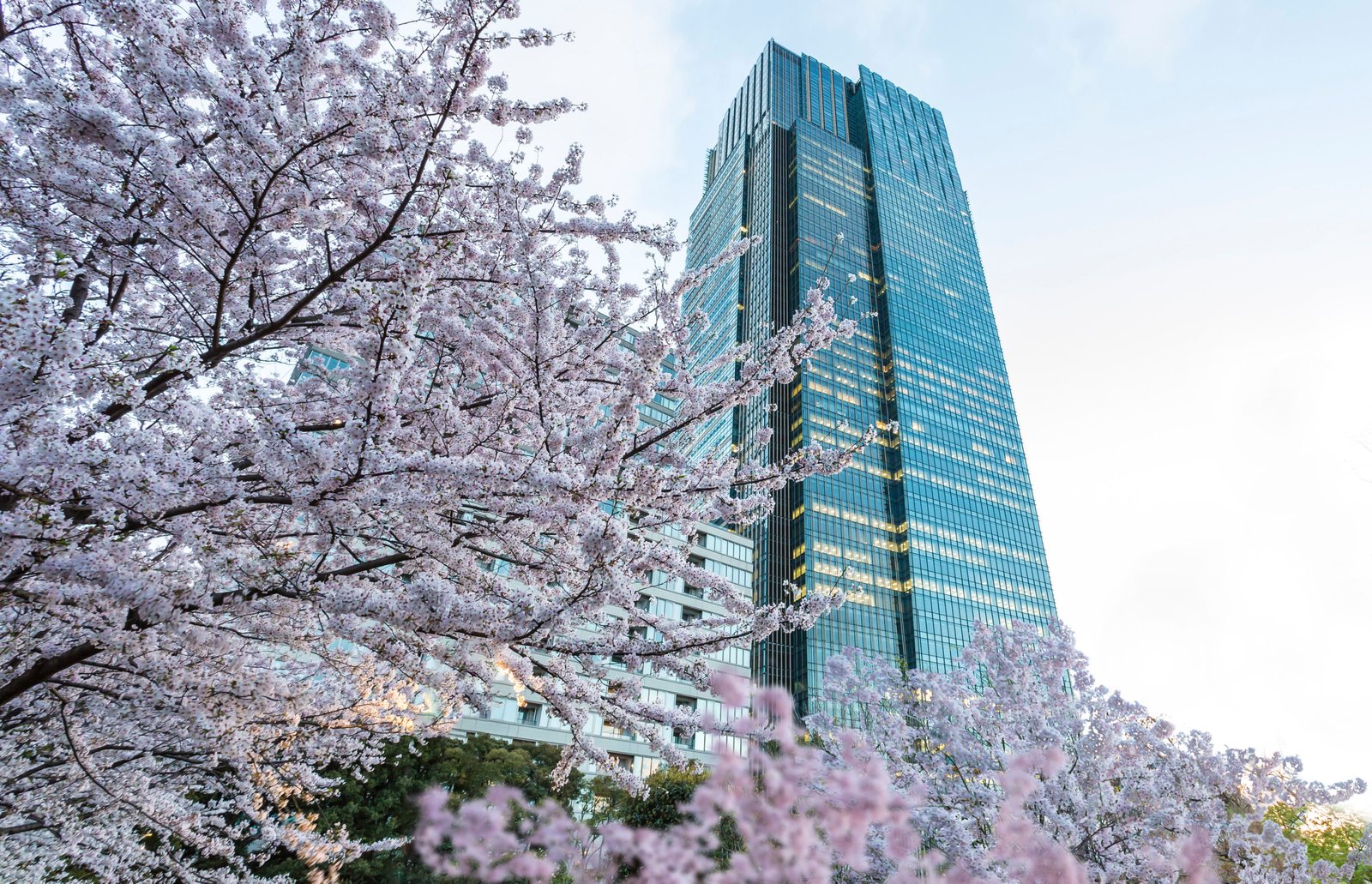 The Ritz-Carlton, Tokyo, how it began