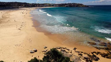 Sheraton Grand Sydney Hyde Park — backstory