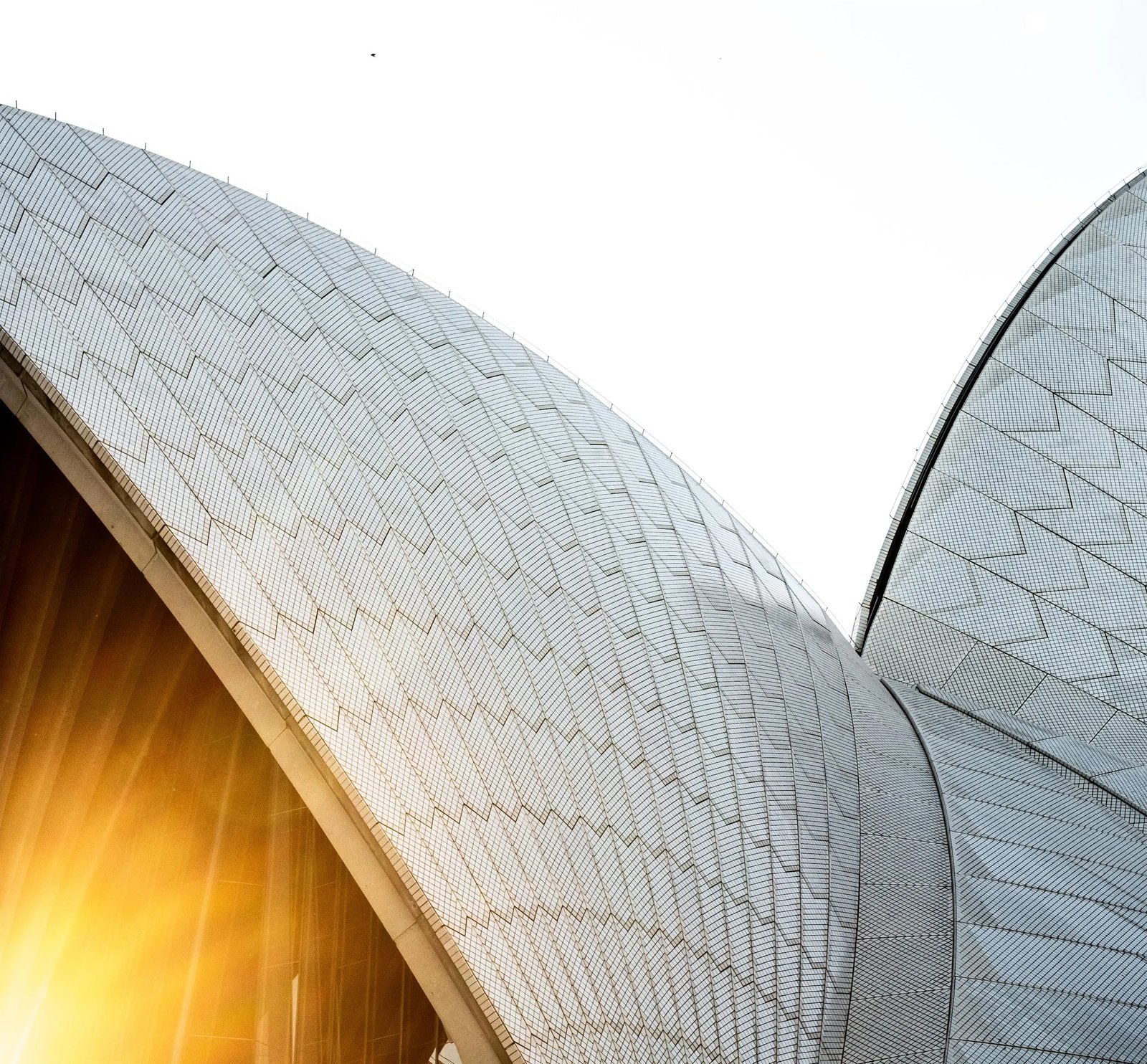 Little National Hotel Sydney — backstory