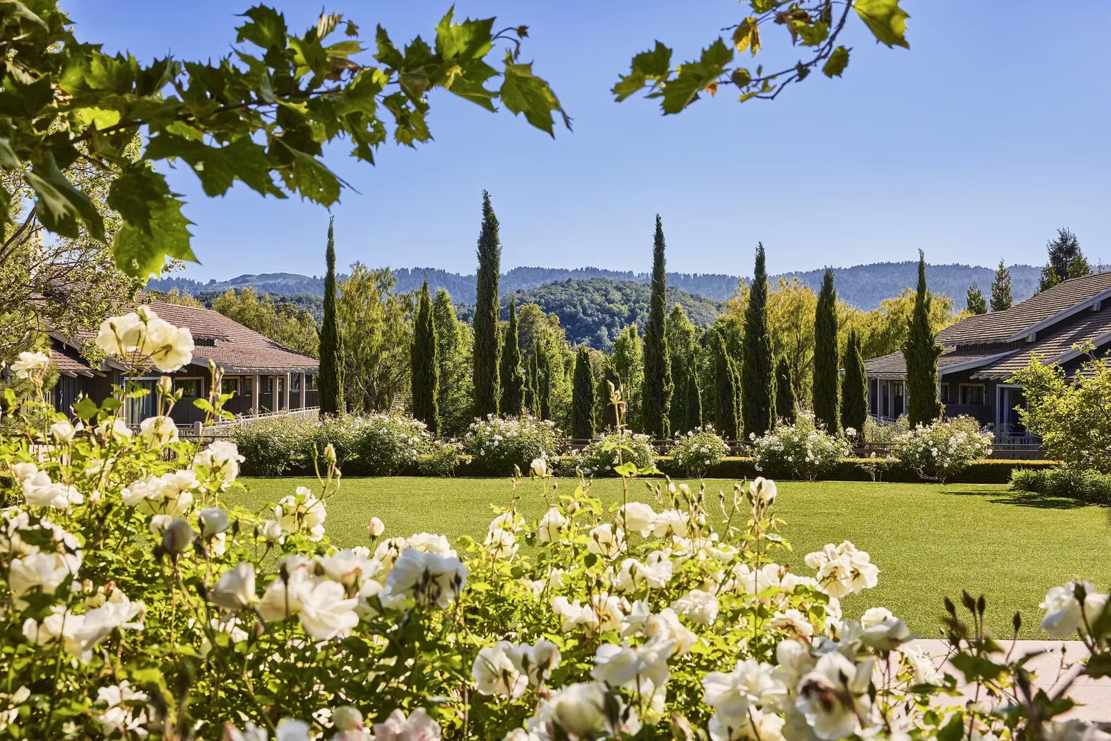 Rosewood Sand Hill Hotel — backstory