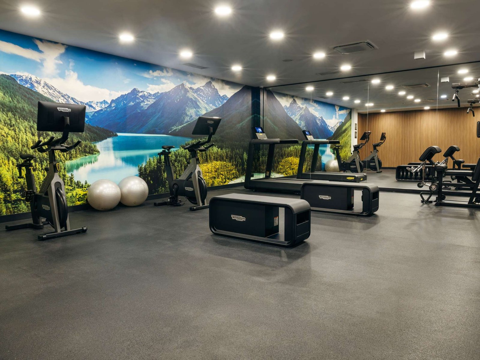 ibis Tbilisi Airport — wellness