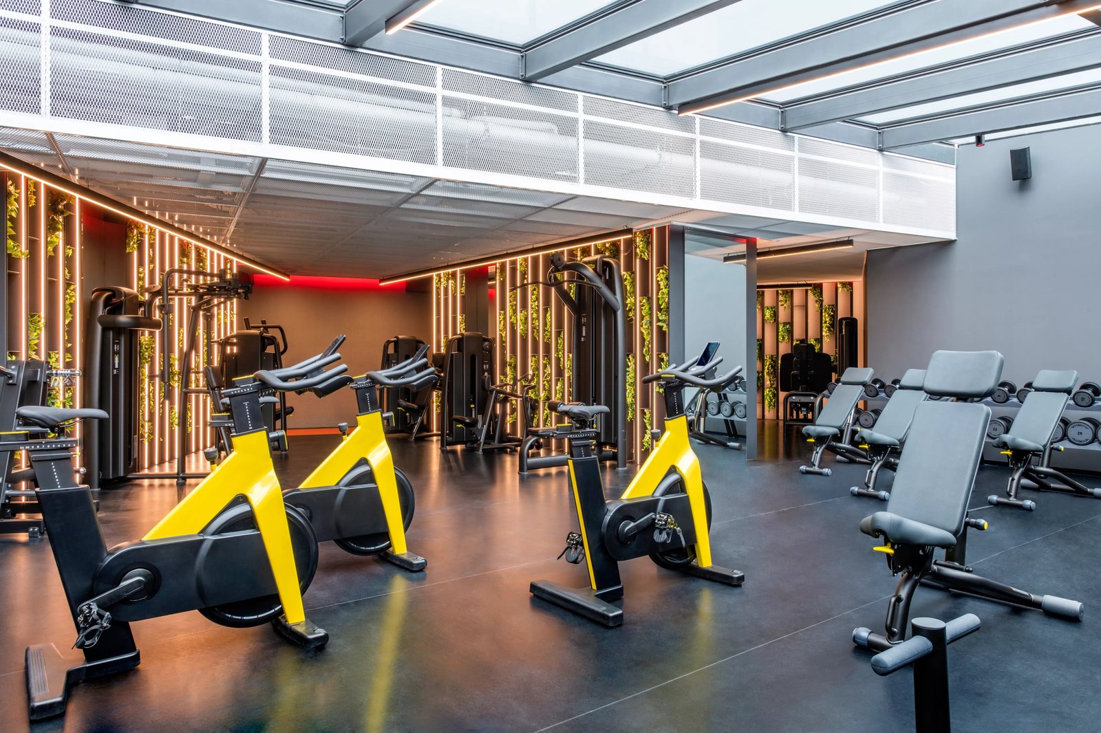 Pullman Tbilisi Axis Towers, the gym and studio