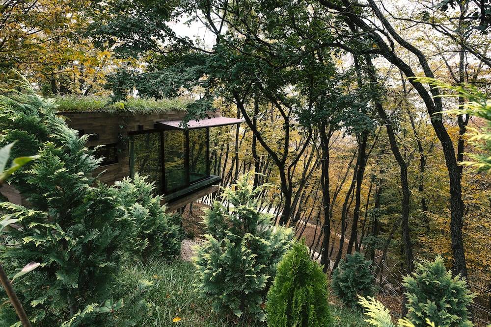 Bioli Wellness Resort — backstory