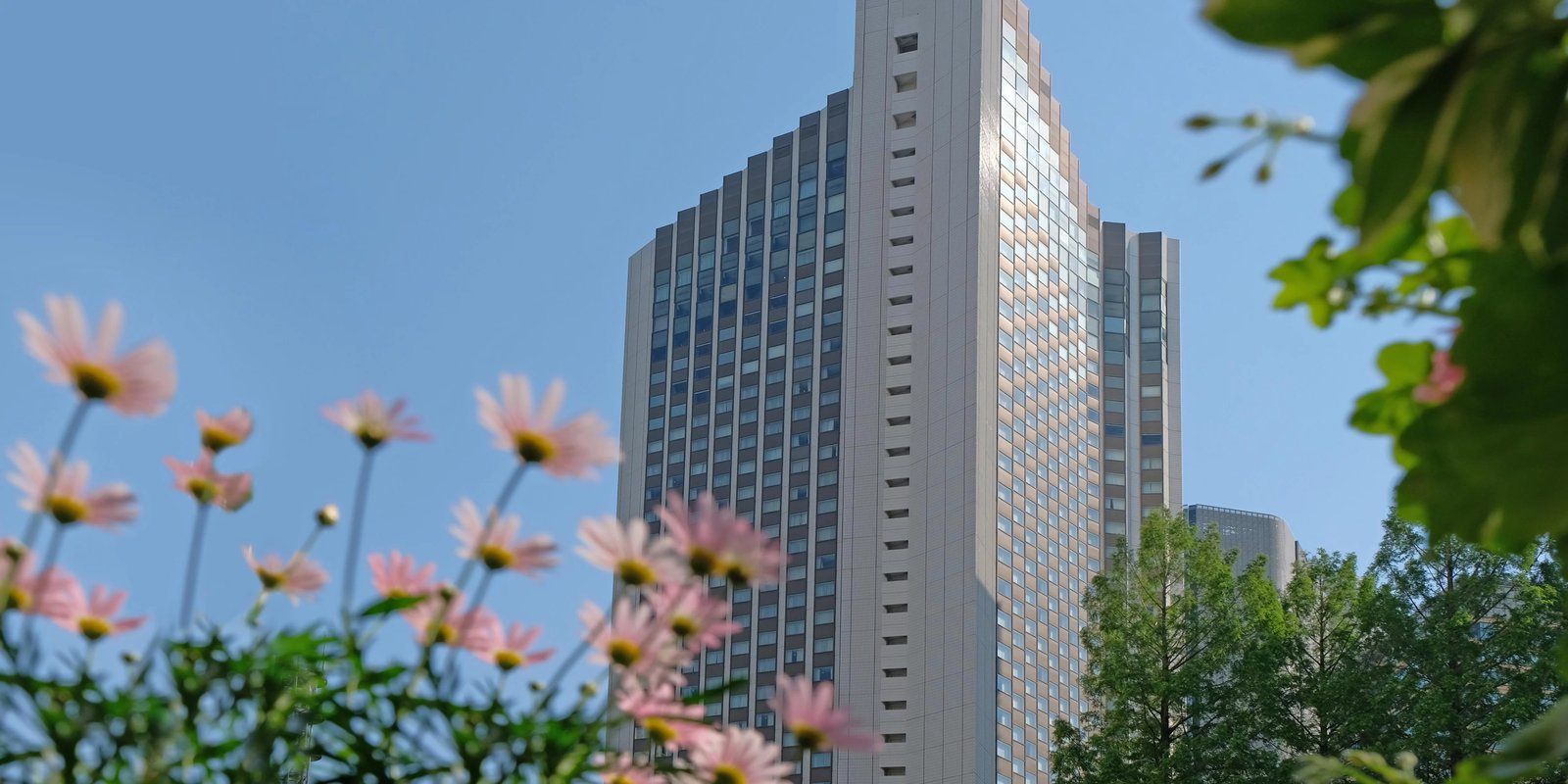 Ana Intercontinental Tokyo — backstory