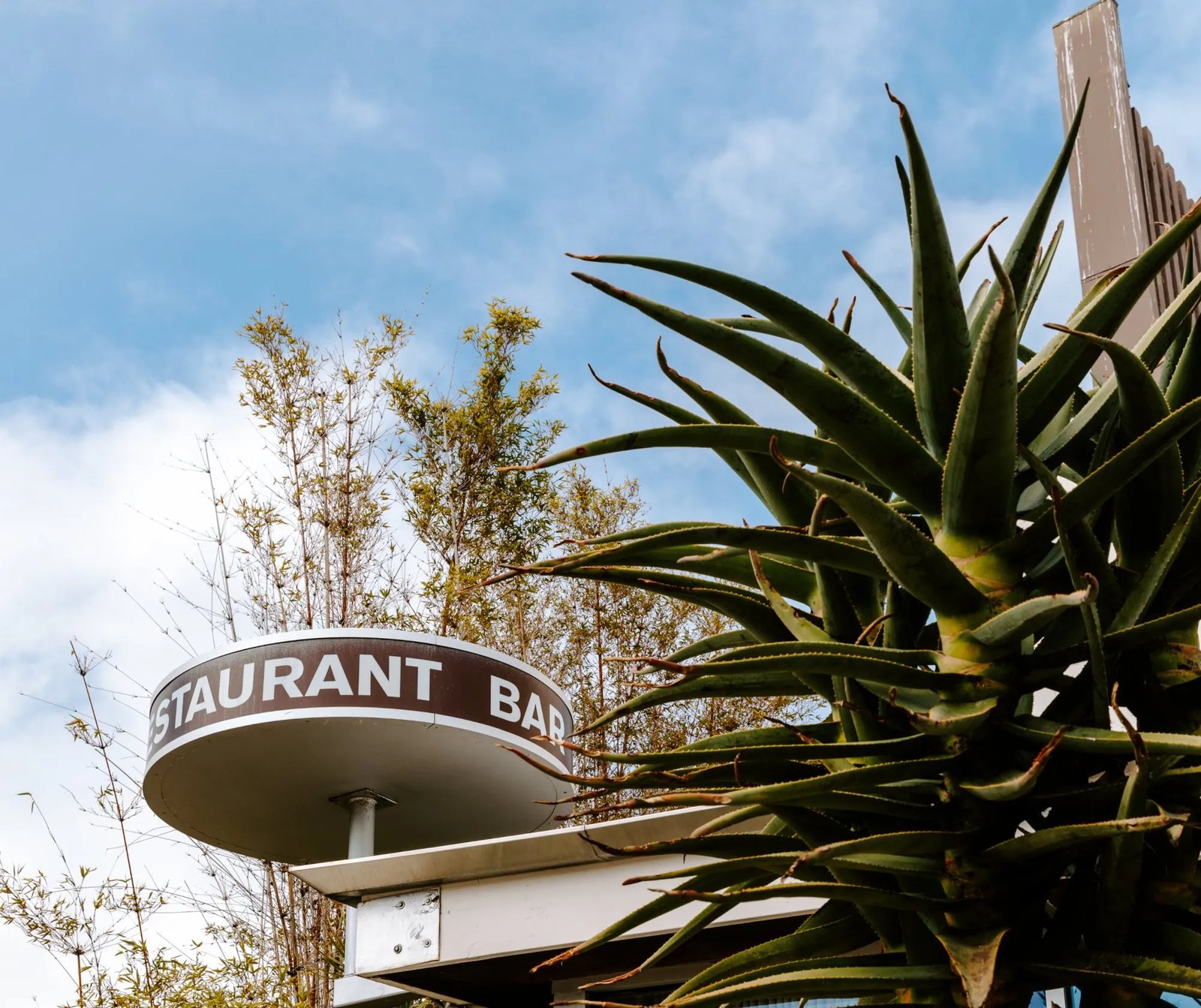 The Pearl Hotel — backstory