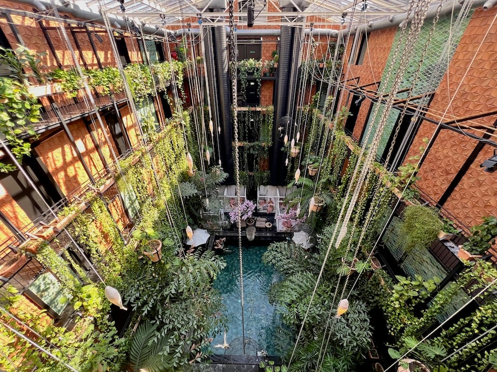 Manon Les Suites — vibe
