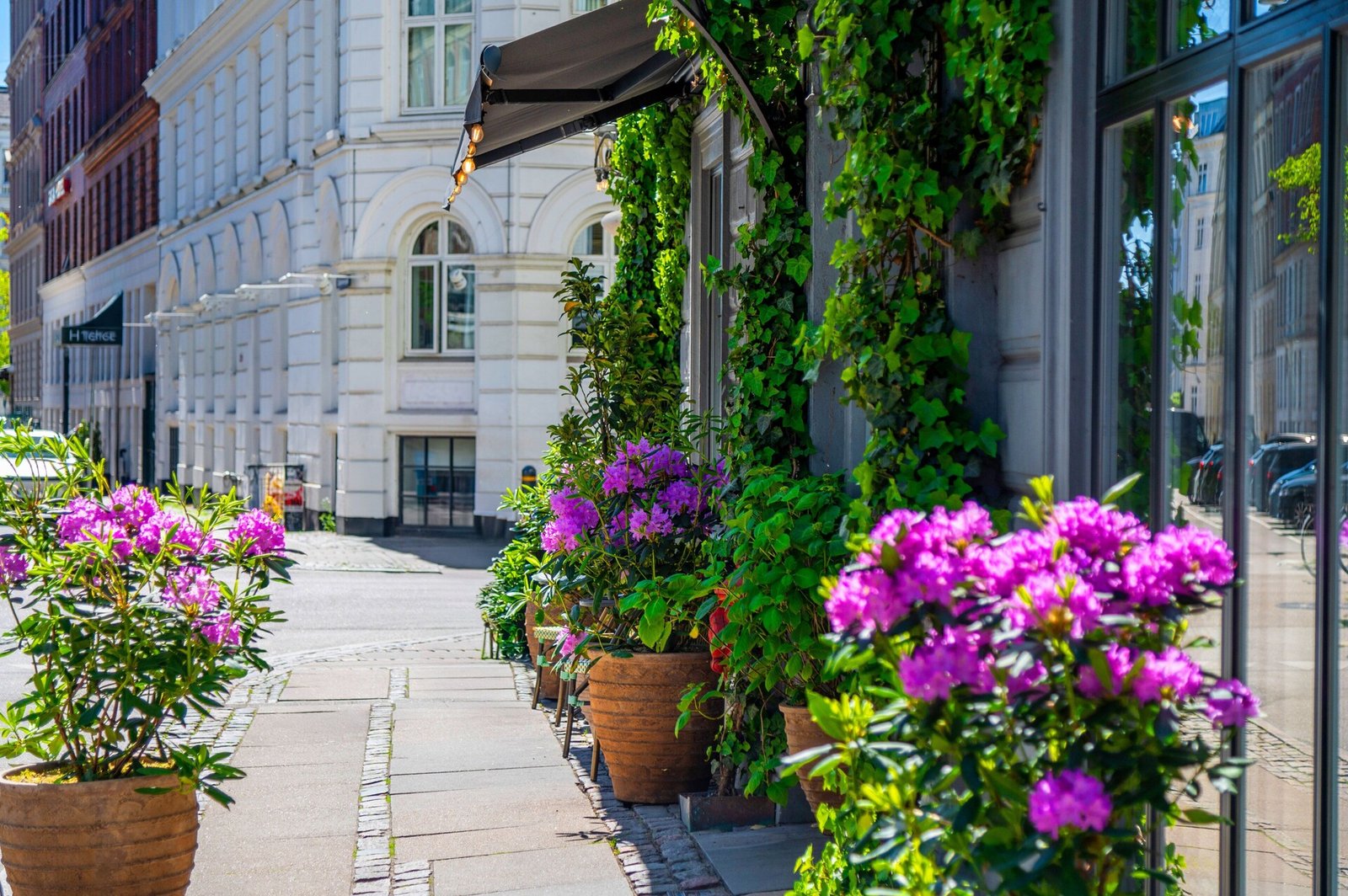 Axel Guldsmeden Hotels, how it began