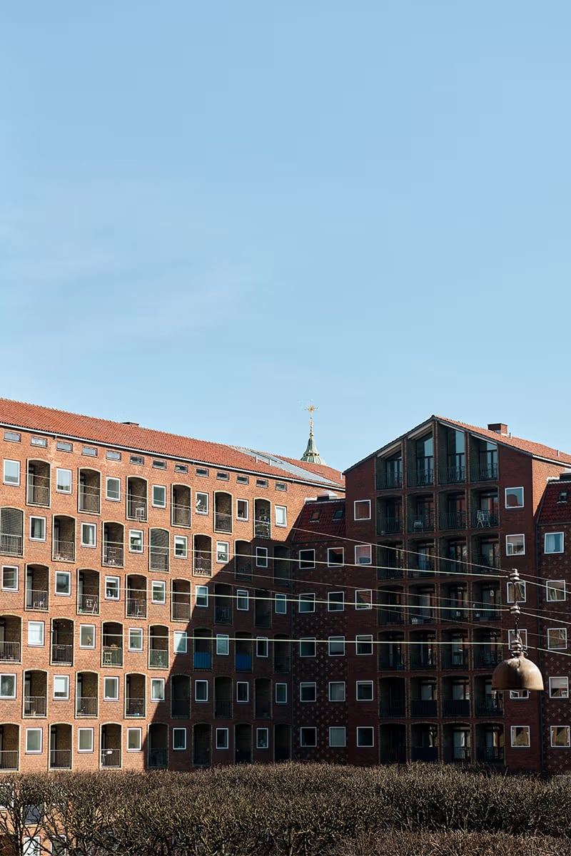 Hotel Petra — backstory
