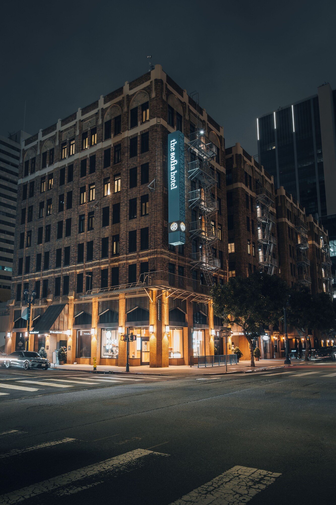 The Sofia Hotel — backstory