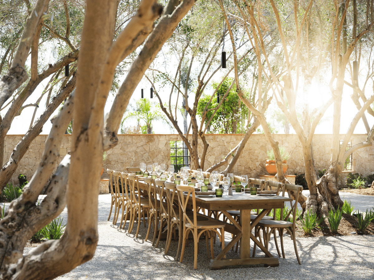 Hotel Solea, verise