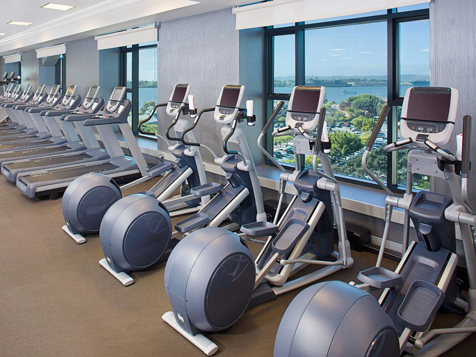 Manchester Grand Hyatt San Diego — wellness