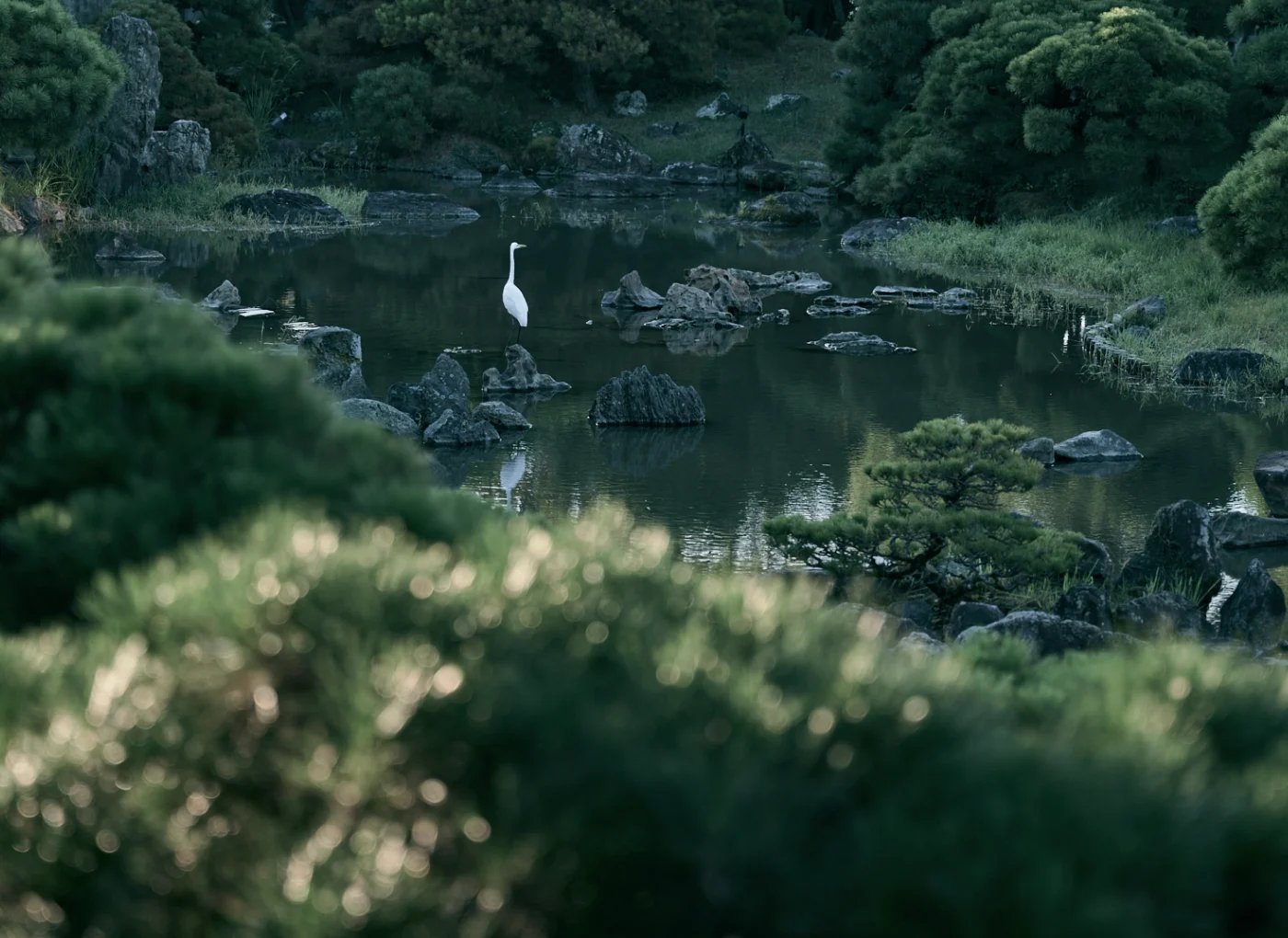 Ryokan Ohana YANAGAWA TACHIBANA-TEI — vibe