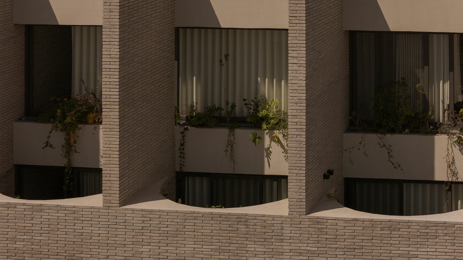 Hotel Carlota — backstory