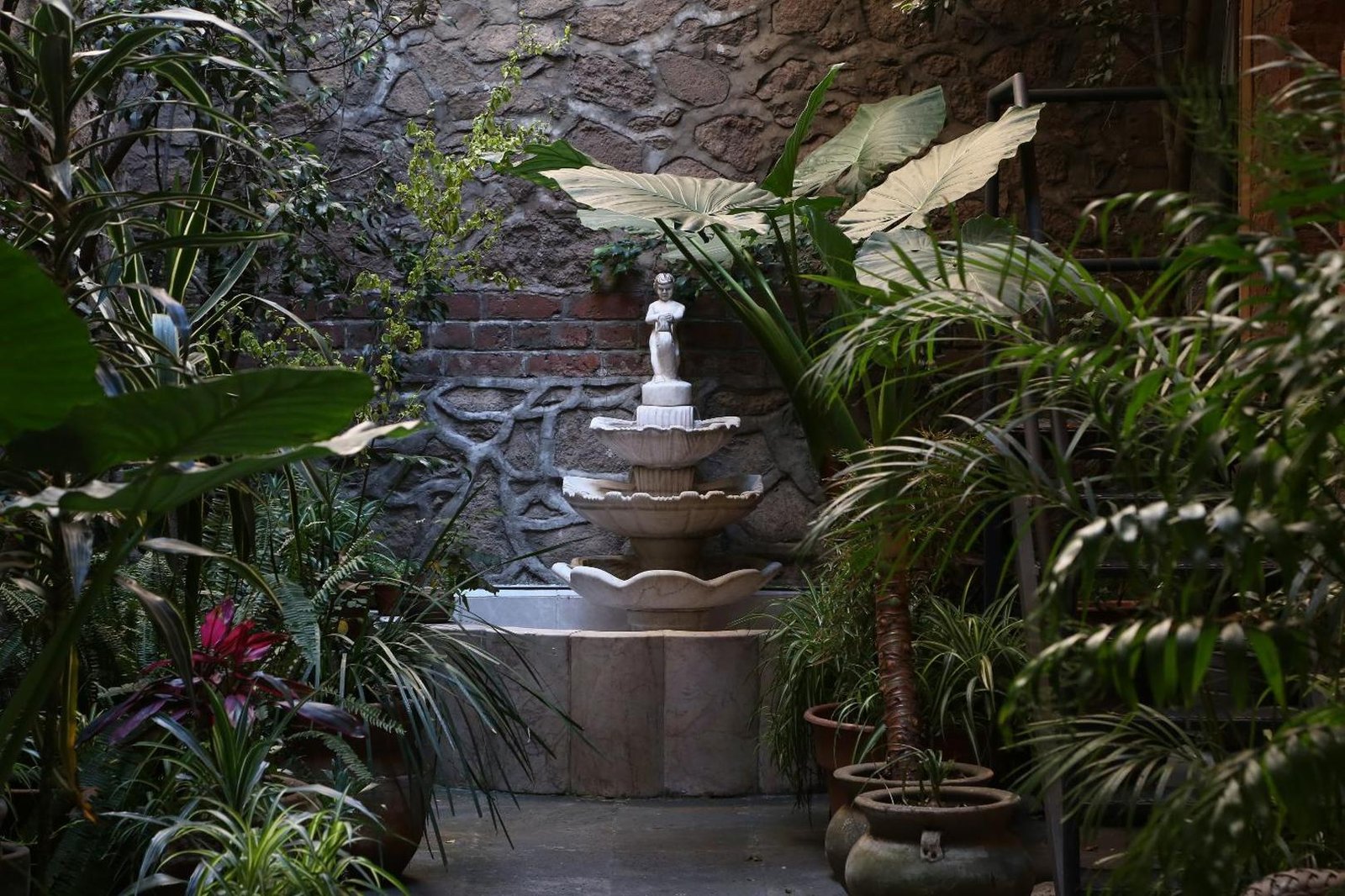 El Patio 77 — vibe