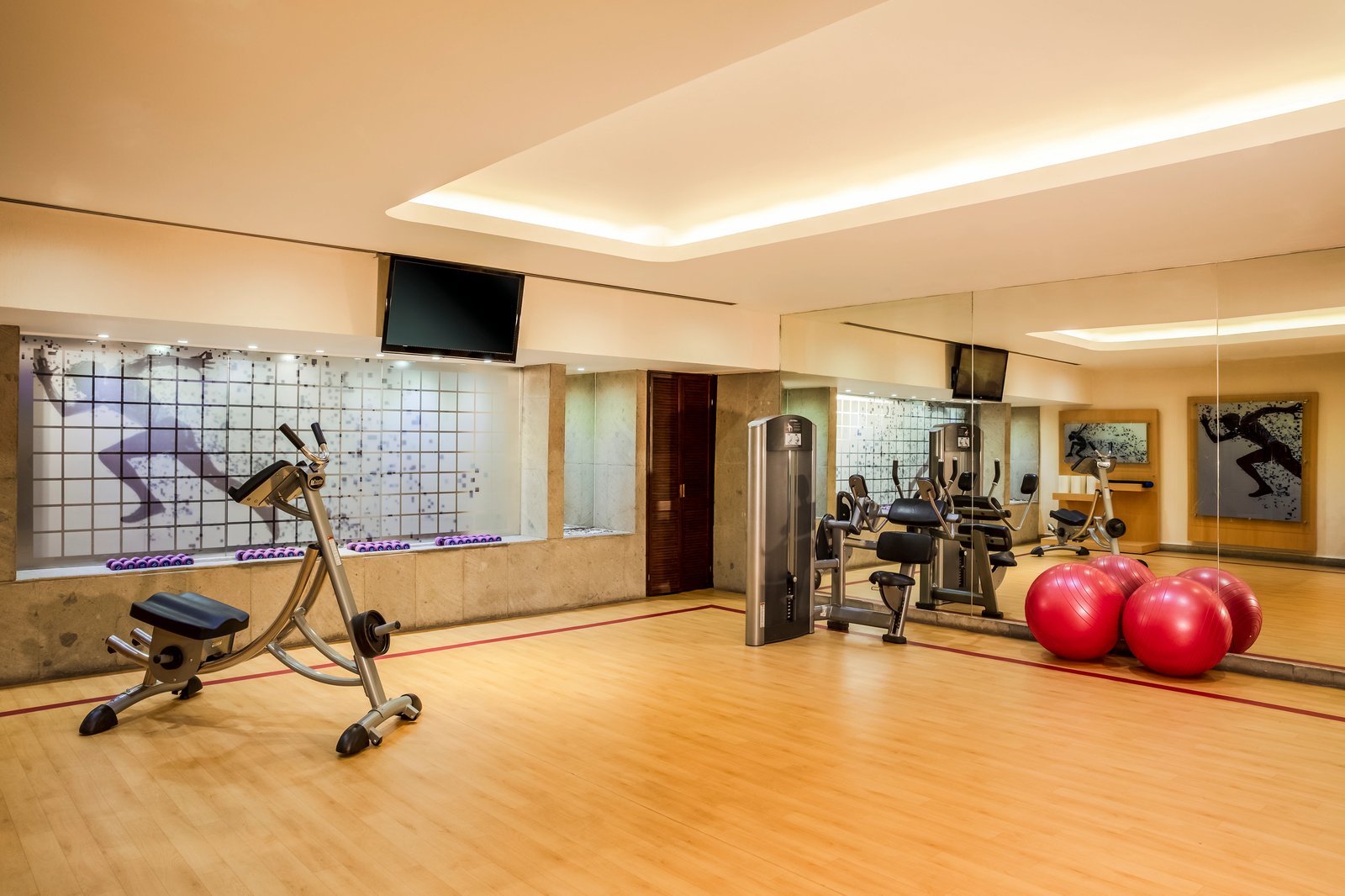 Sheraton Maria Isabel Mexico City Reforma, the gym