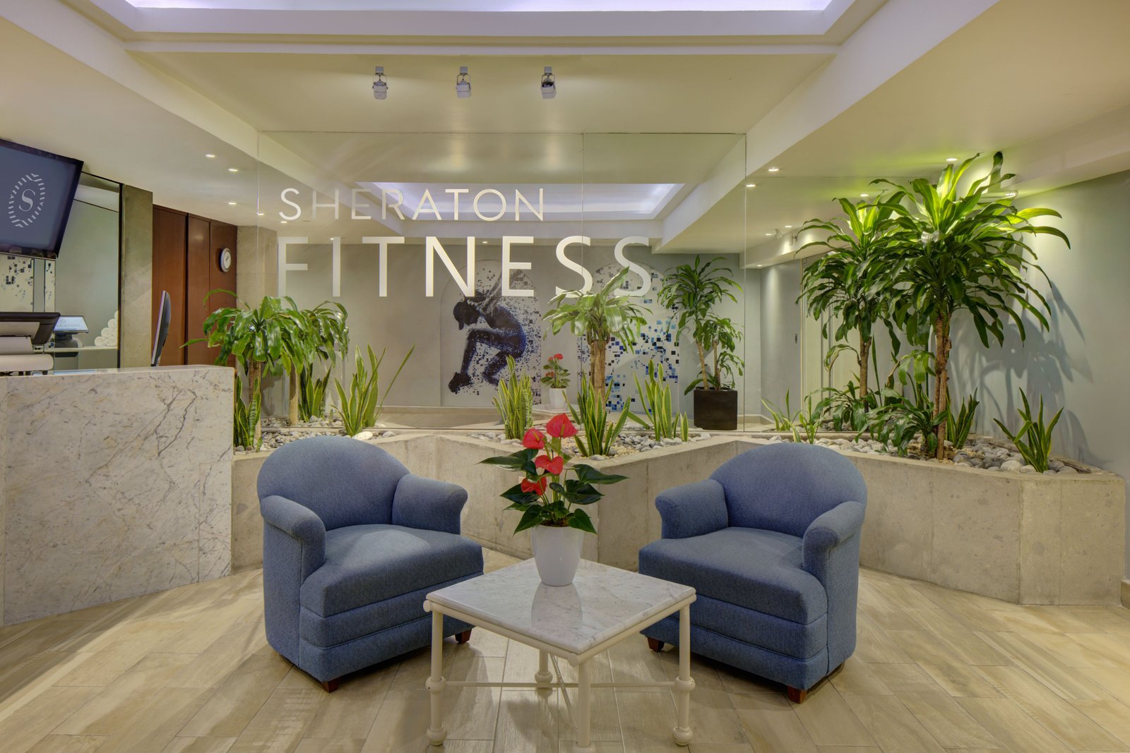 Sheraton Maria Isabel Mexico City Reforma, the gym