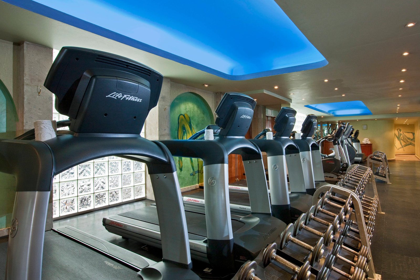 Sheraton Maria Isabel Mexico City Reforma — wellness