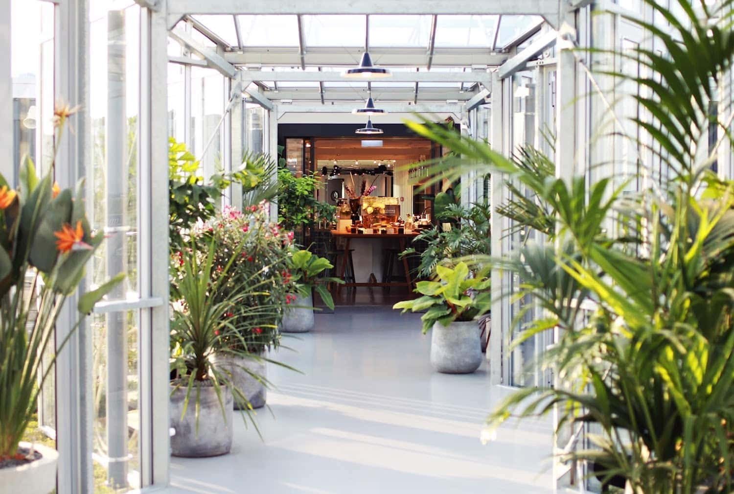 Zoku Amsterdam — vibe