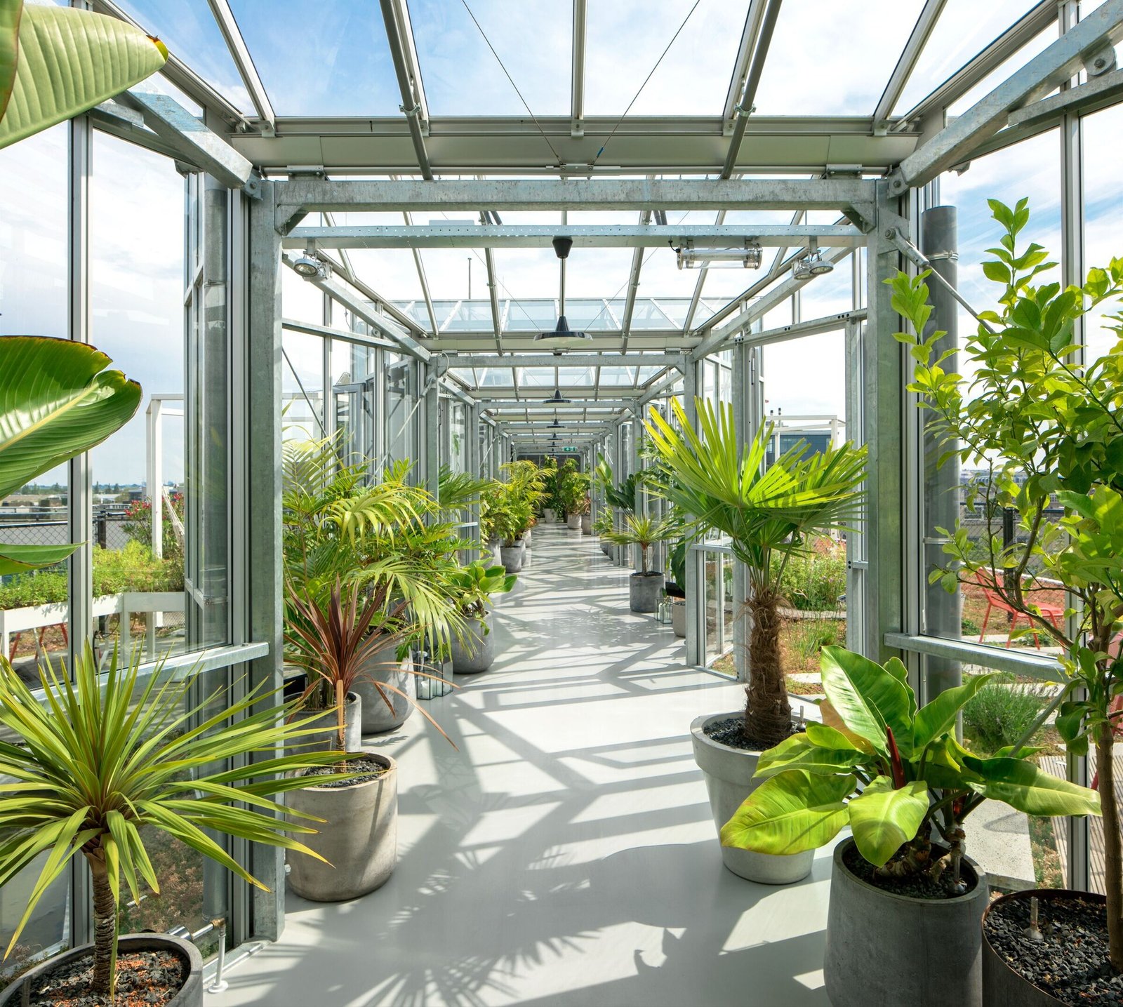 Zoku Amsterdam — vibe