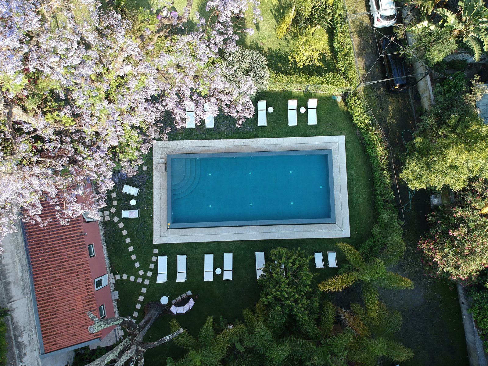 Palácio Príncipe Real, the pool