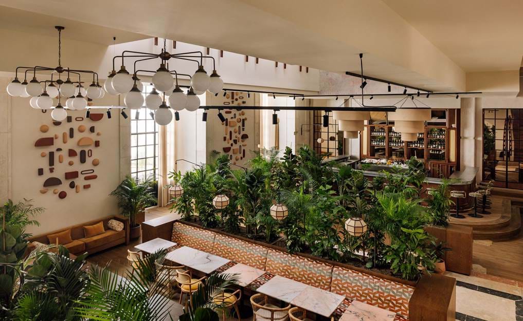 Locke de Santa Joana — eat & drink