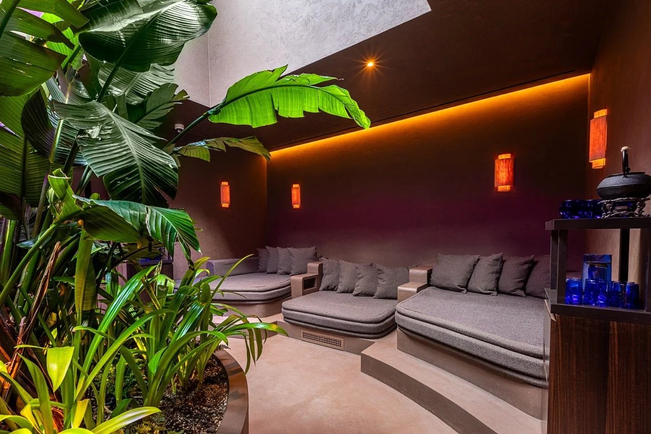 The Mandrake — wellness