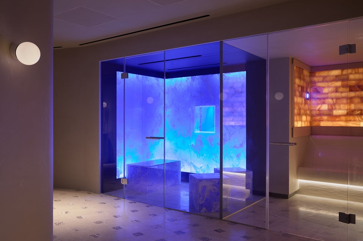 The Newman — wellness