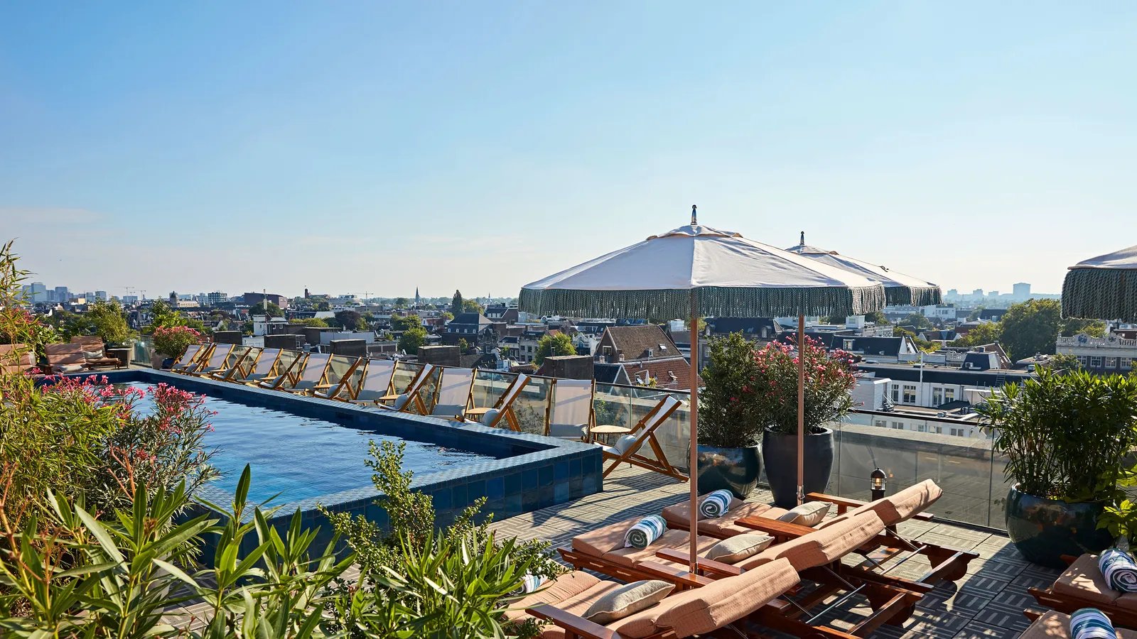 White City House — wellness