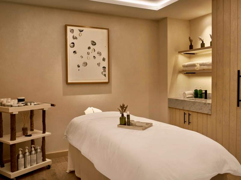 1 Hotel Mayfair — wellness