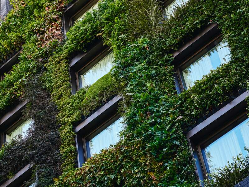 1 Hotel Mayfair — backstory