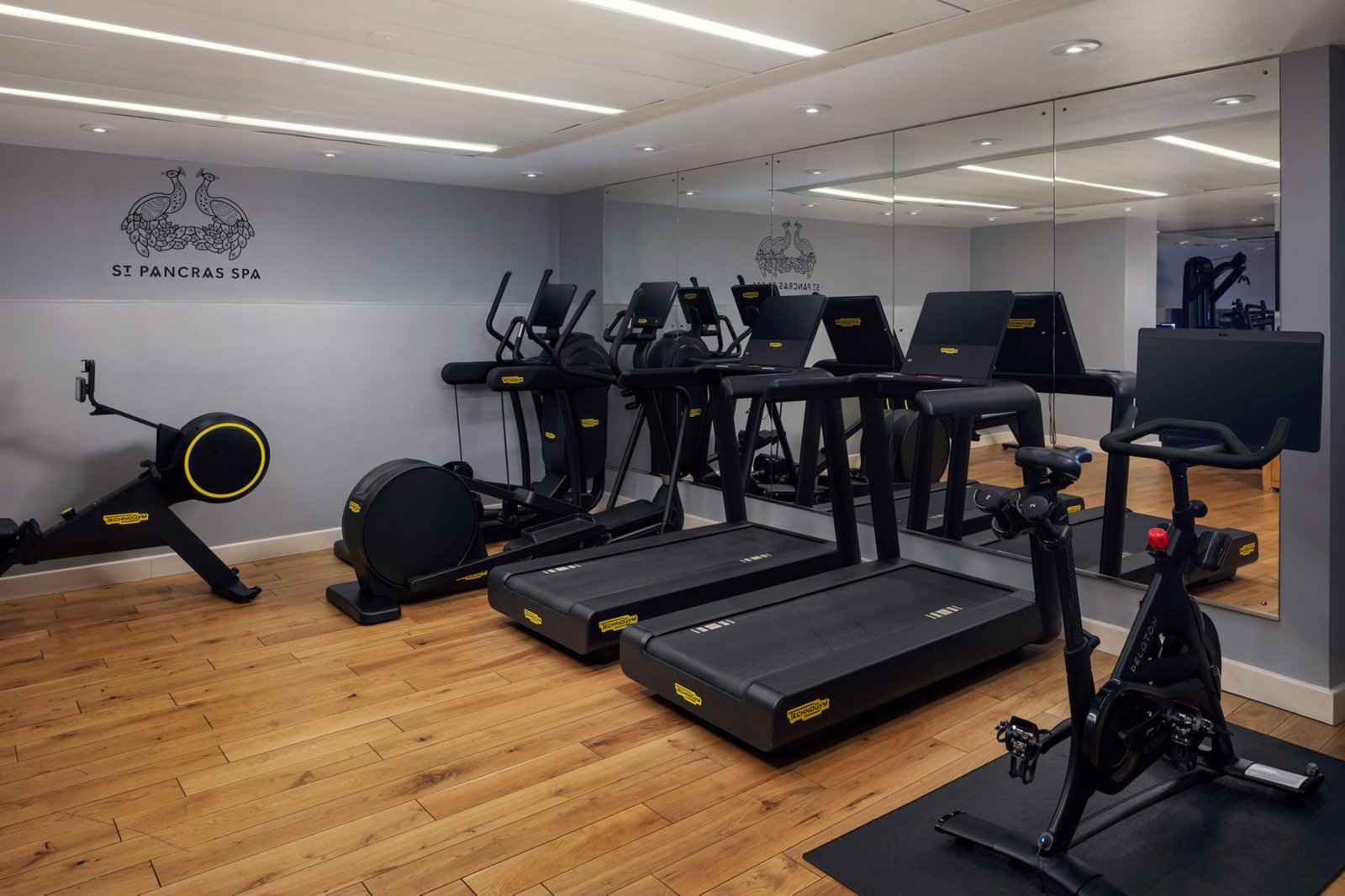 St Pancras London, Autograph Collection — wellness