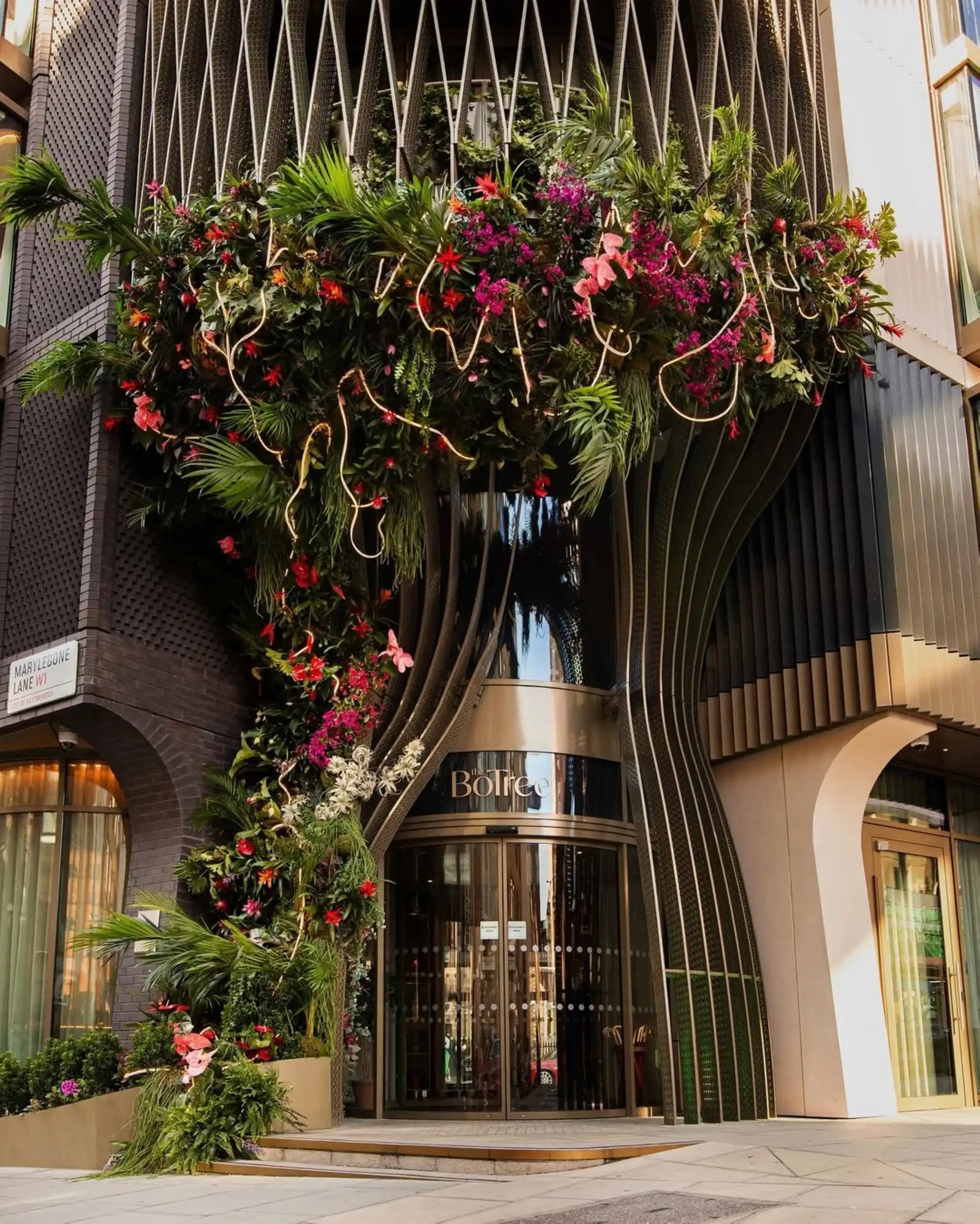 The BoTree London — vibe