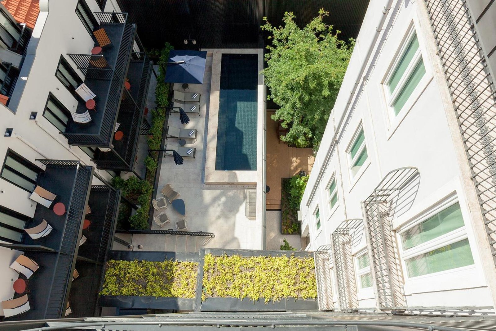 Valverde Lisboa Hotel & Garden, the pool