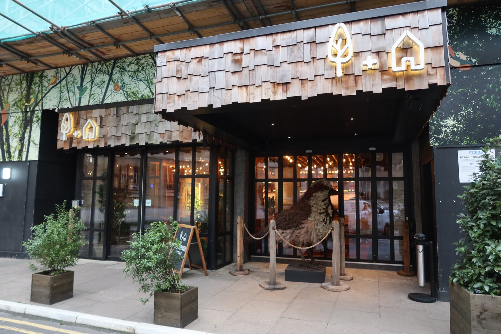 Treehouse Hotel London — backstory