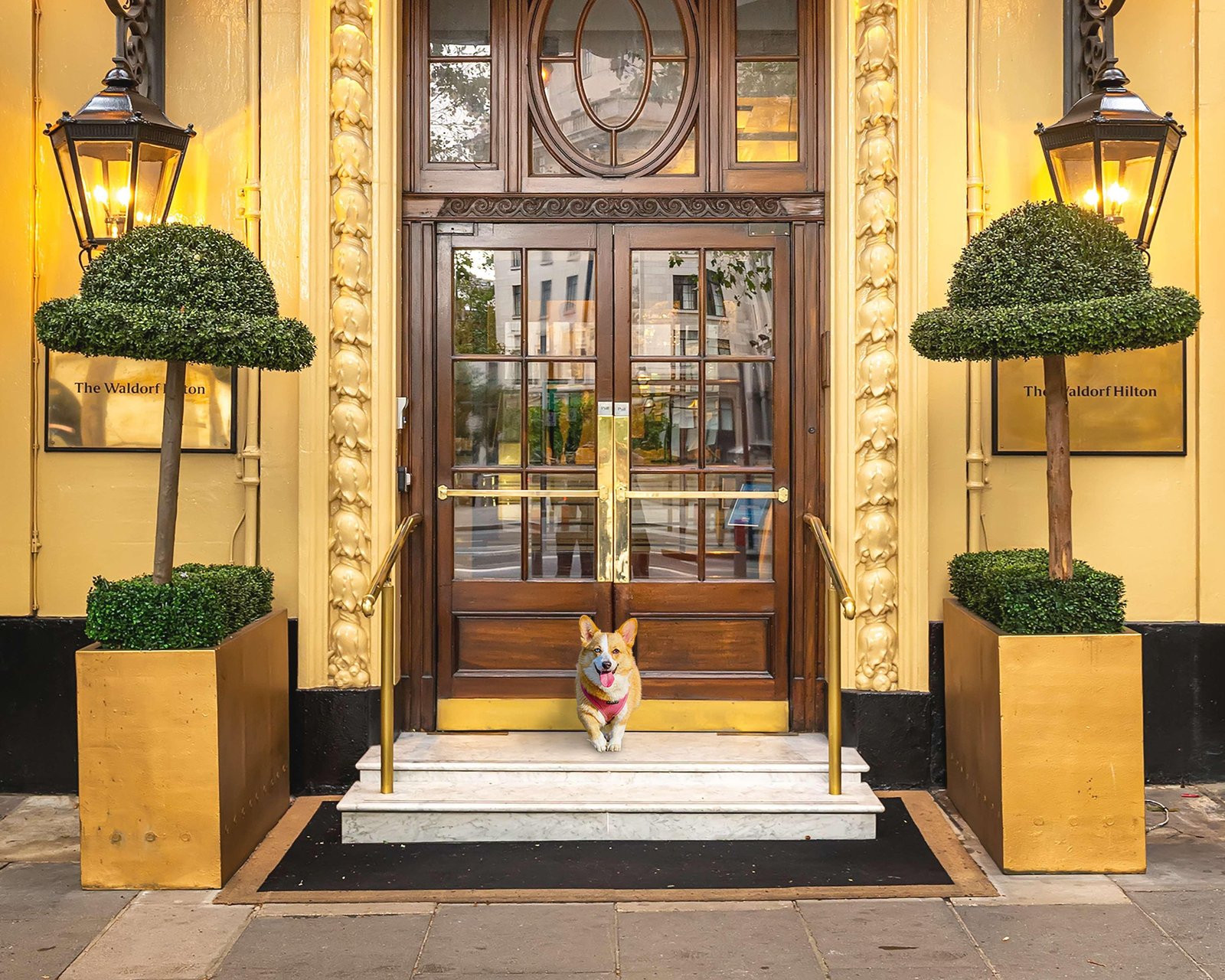 The Waldorf Hilton Hotel — backstory