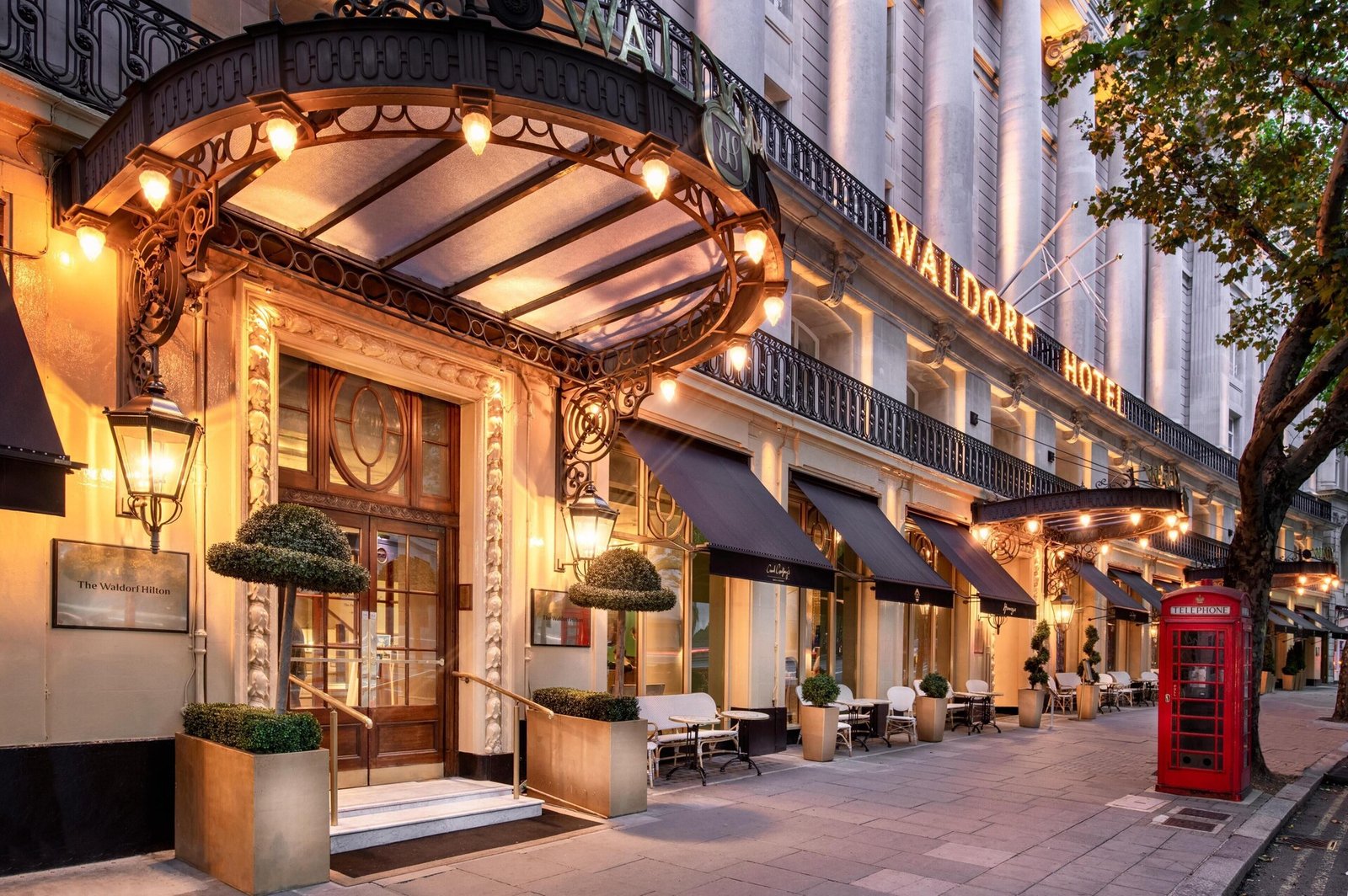 The Waldorf Hilton Hotel — backstory
