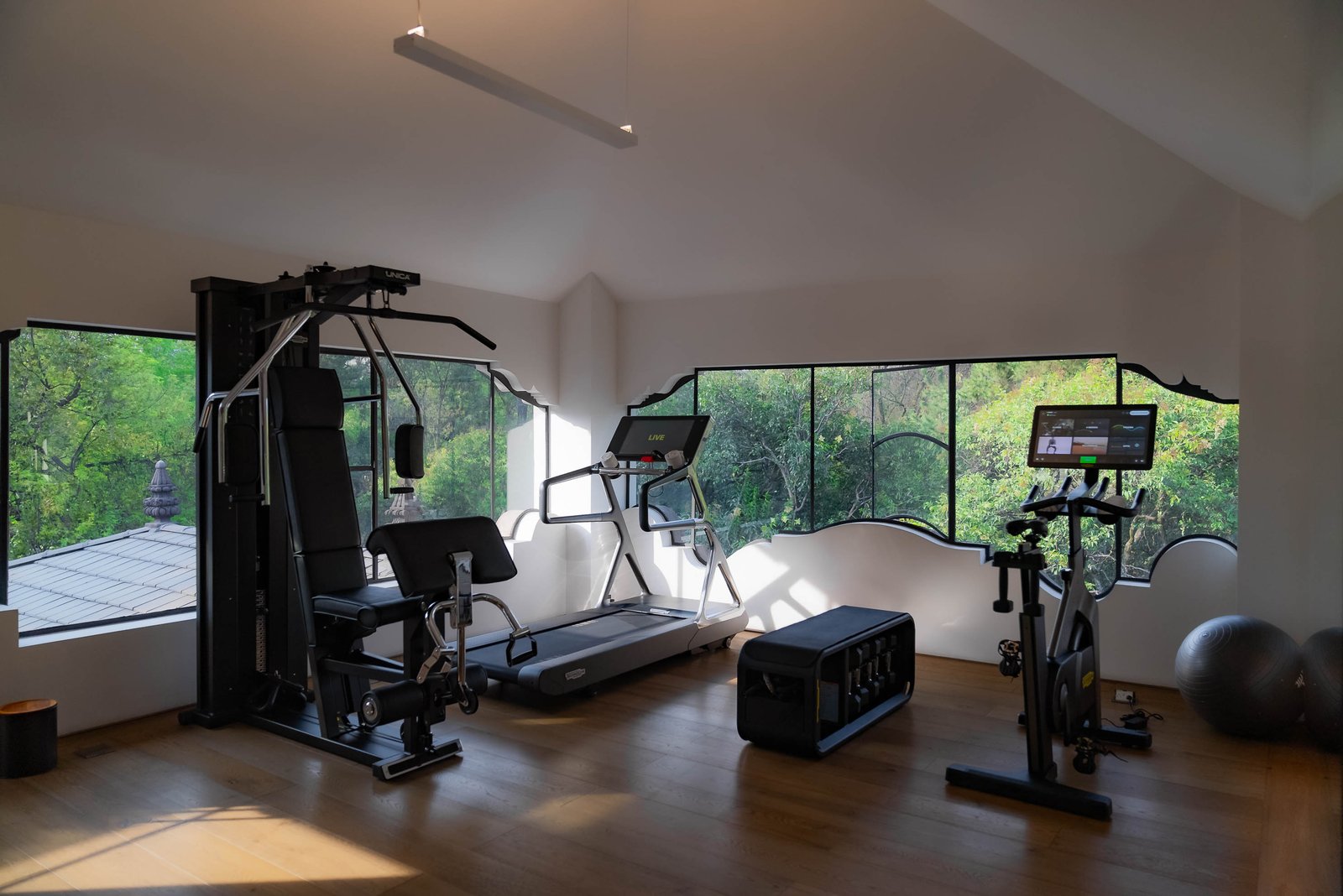 Casa Polanco, the gym