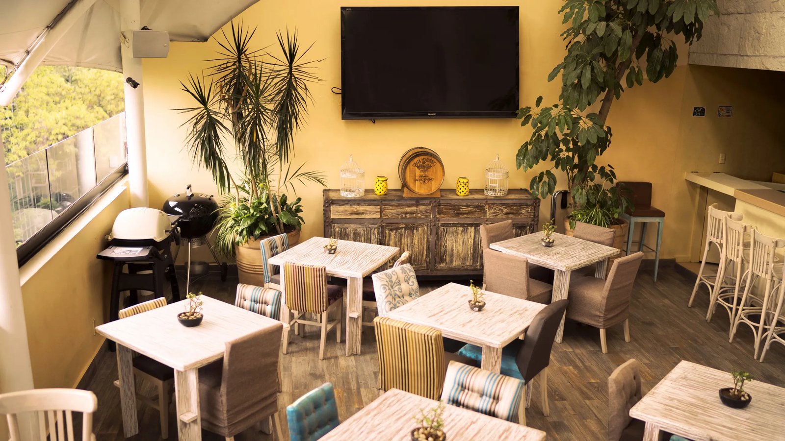 Maria Condesa — eat & drink
