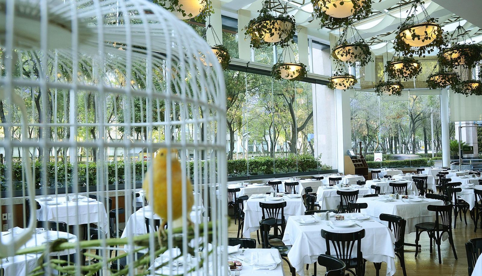 Marquis Reforma — eat & drink