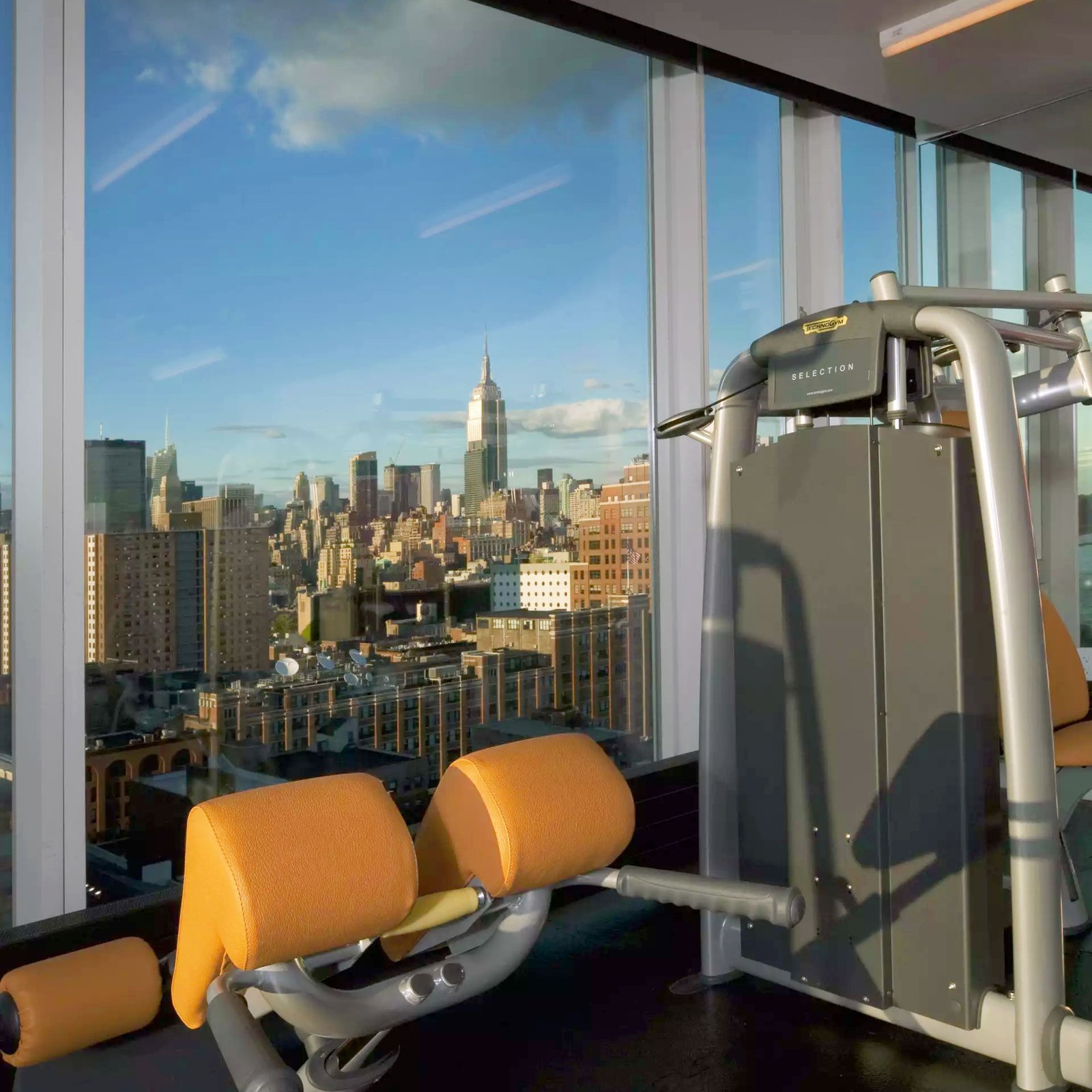 The Standard, High Line, the gym