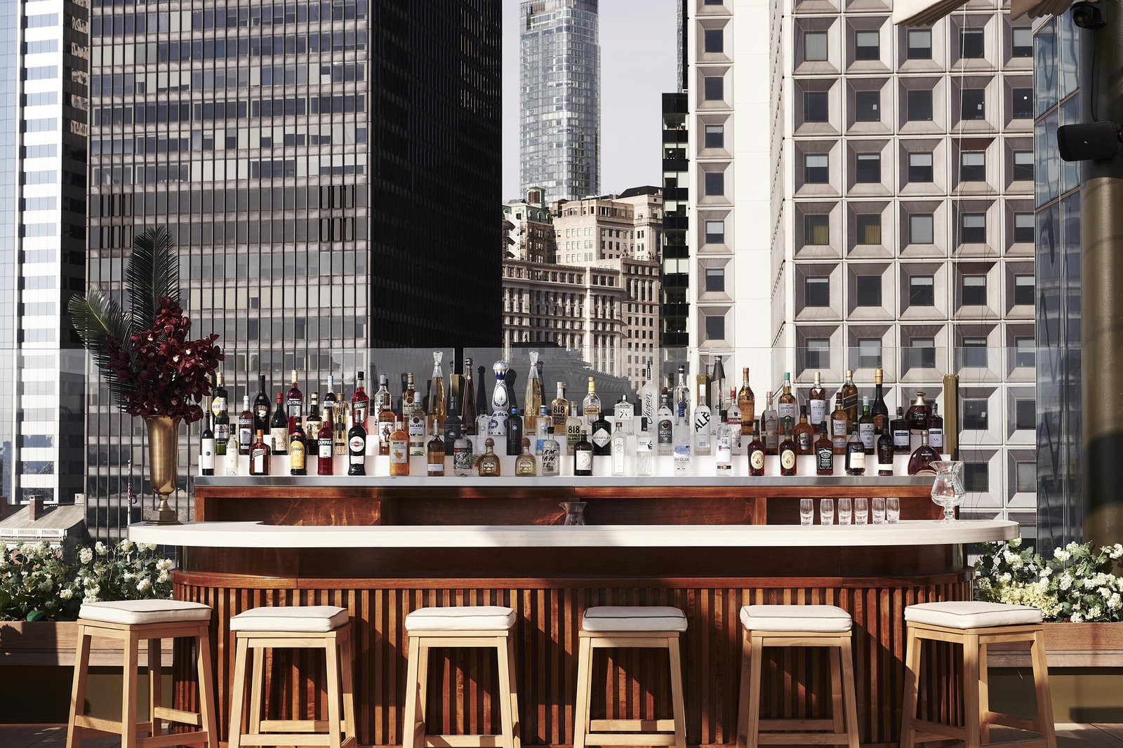 Casa Cipriani, at the table