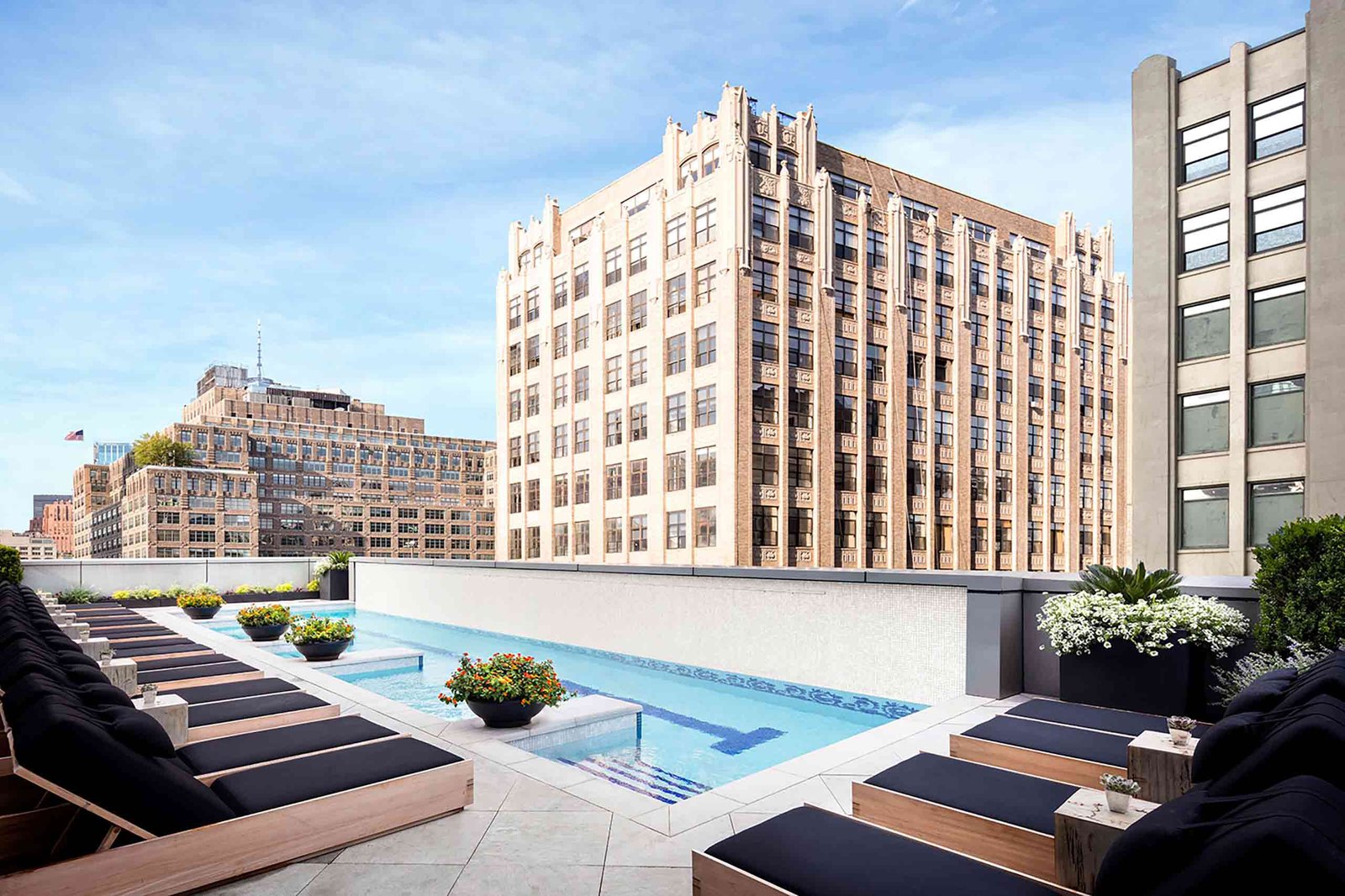The Dominick — wellness