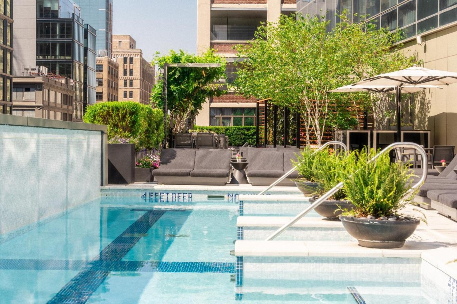 The Dominick — wellness