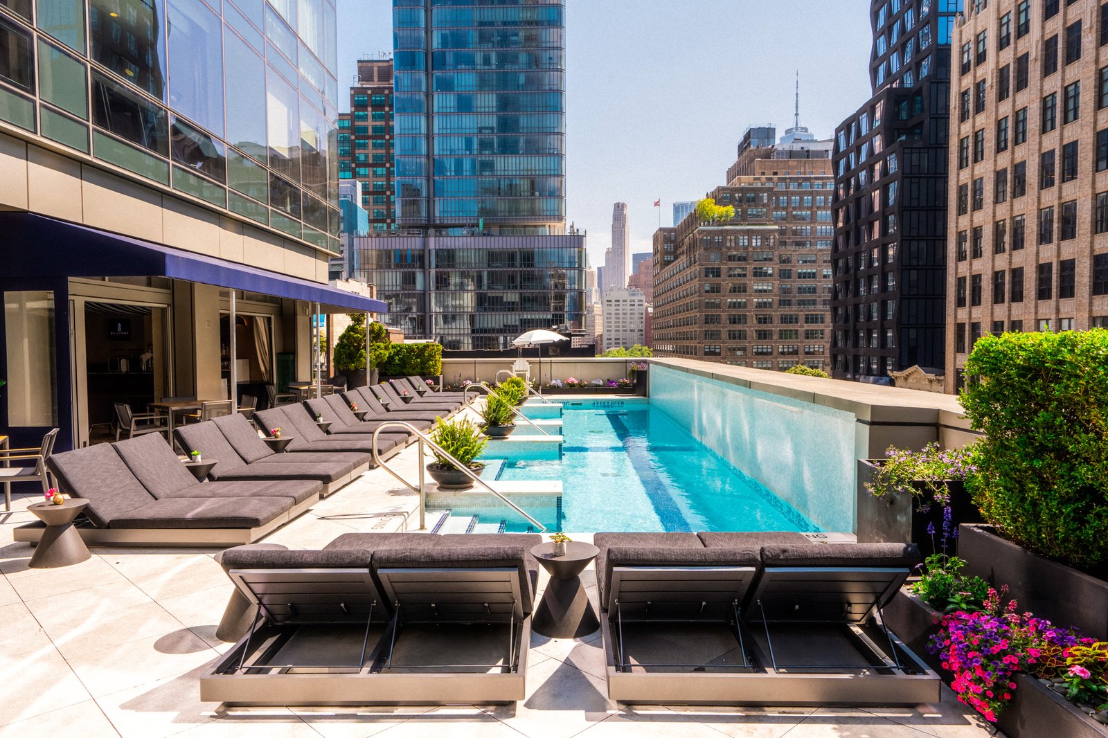 The Dominick — wellness