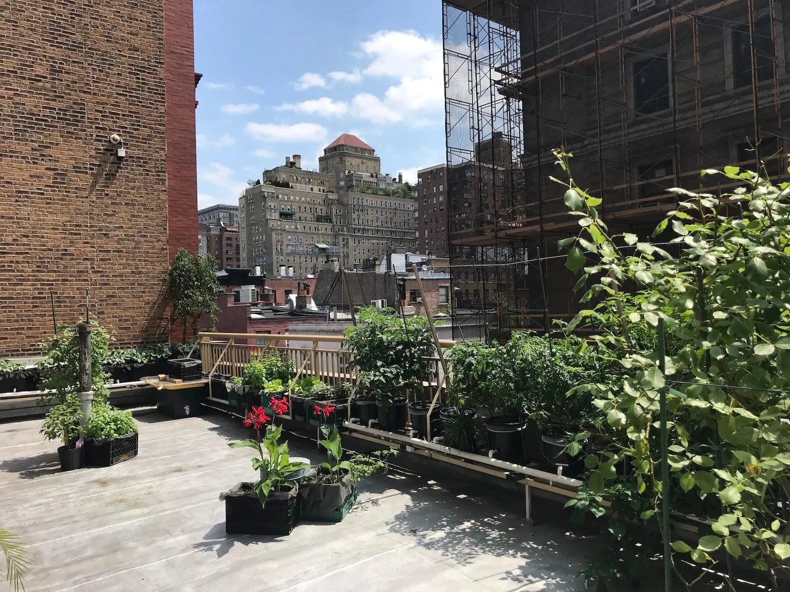 Washington Square Hotel — vibe