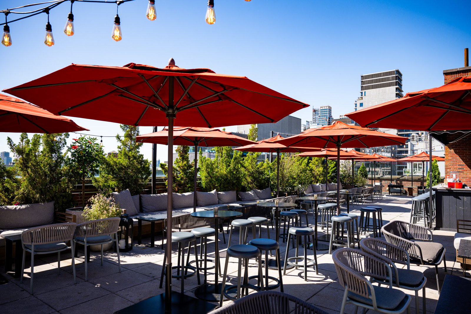 Arlo SoHo — eat & drink